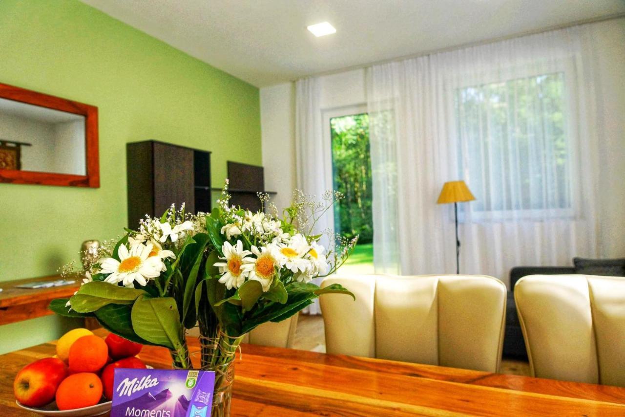 Kőszeg Alpok - Spirit Apartman Park מראה חיצוני תמונה